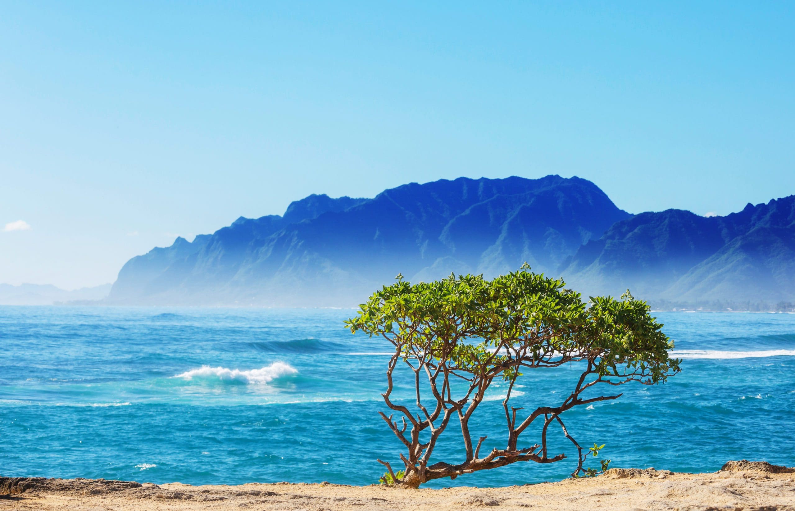 Hawaiian beach