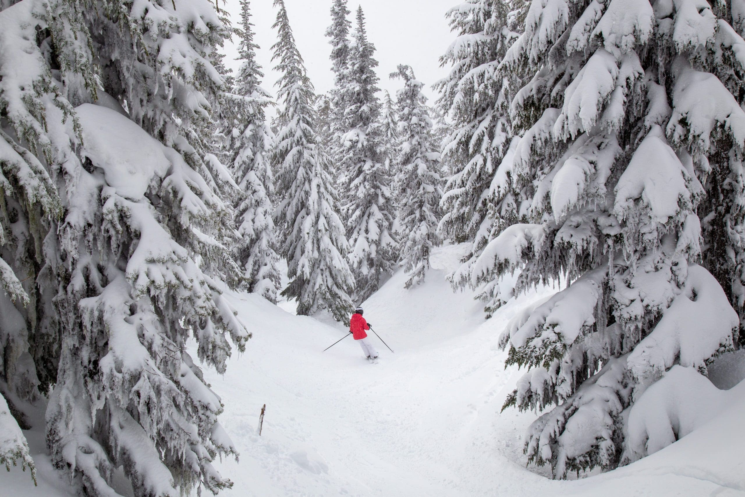 Alpine,Skiing,On,Mount,Hood,,Near,Portland,,Oregon,,Usa