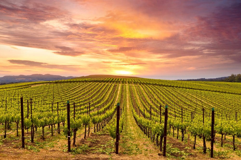 Beautiful,Sunset,Sky,In,Napa,Valley,Wine,Country,On,Spring