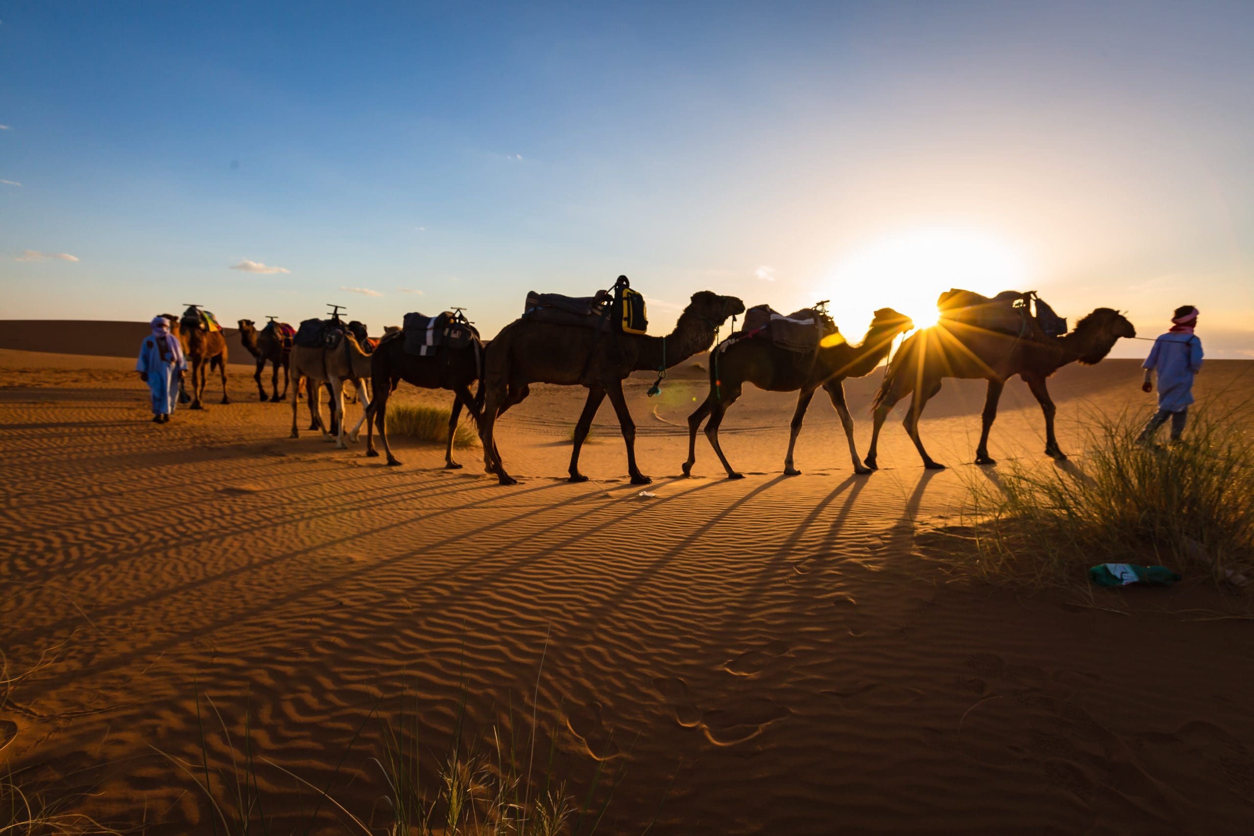 caravan-of-camels-at-sunset-sahara-desert-morocco-2022-11-16-17-07-30-utc (1)