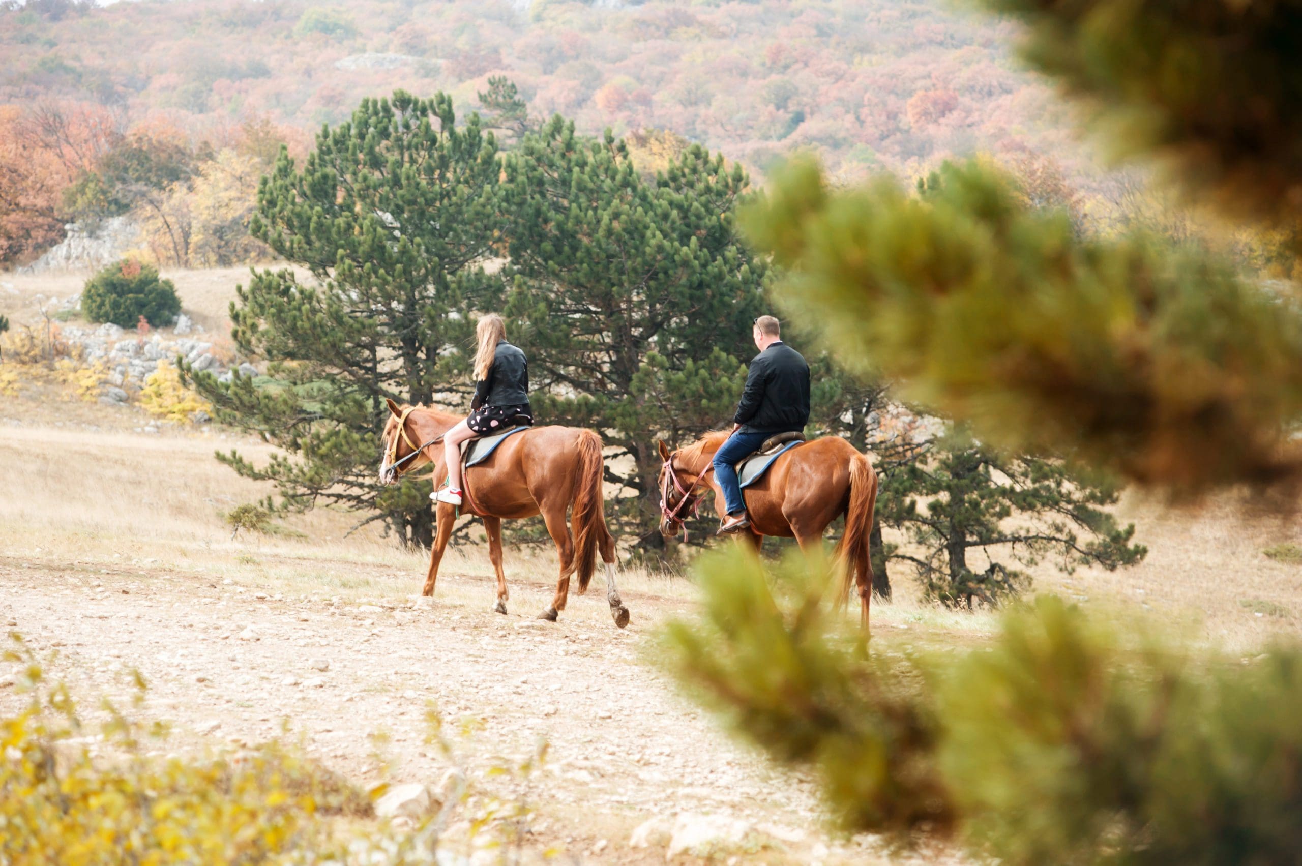 guy-and-a-girl-on-horseback-ride-in-nature-in-autu-2022-11-09-08-41-25-utc