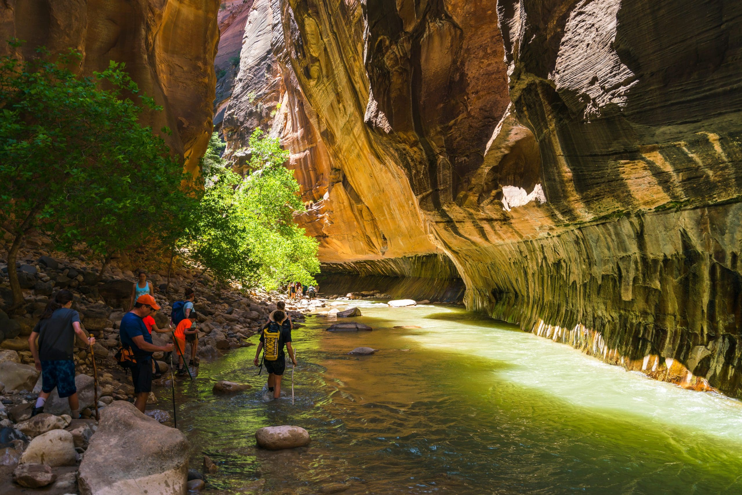 Beautiful,Of,Narrow,In,The,Afternoon,In,Zion,National,Park,utah,usa.