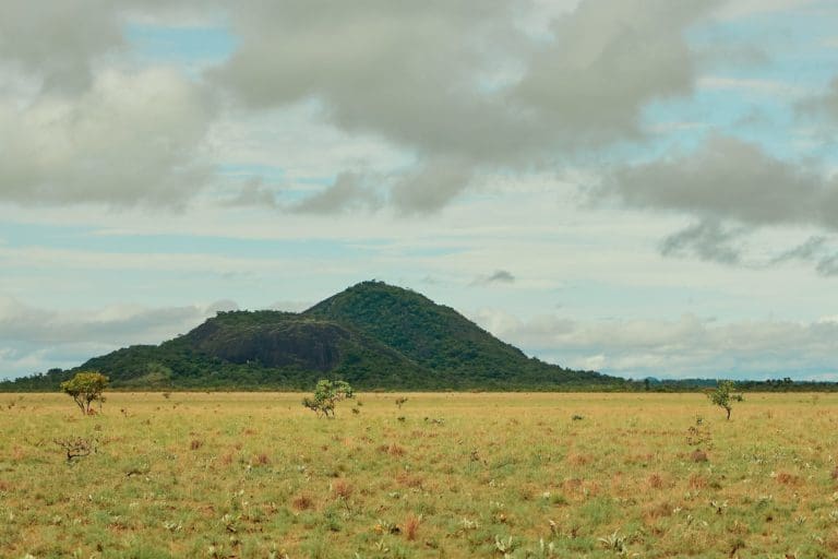 Kanuku,Mountains,-,South,Rupununi