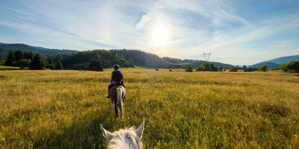 horse-riding-in-fields-2022-09-21-21-16-24-utc