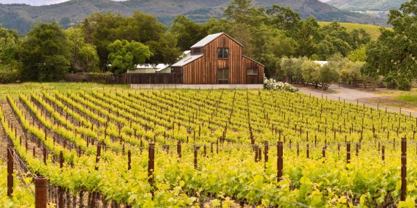 Napa,Valley,Vineyards,,Spring,,Mountains,,Sky,,Clouds,,Barn