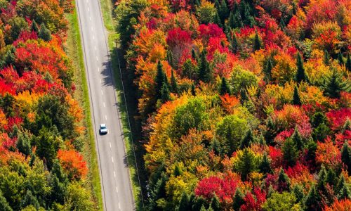 Aerial,View,Of,A,Car,Driving,On,A,Country,Road